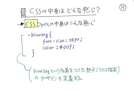 CSS̒g